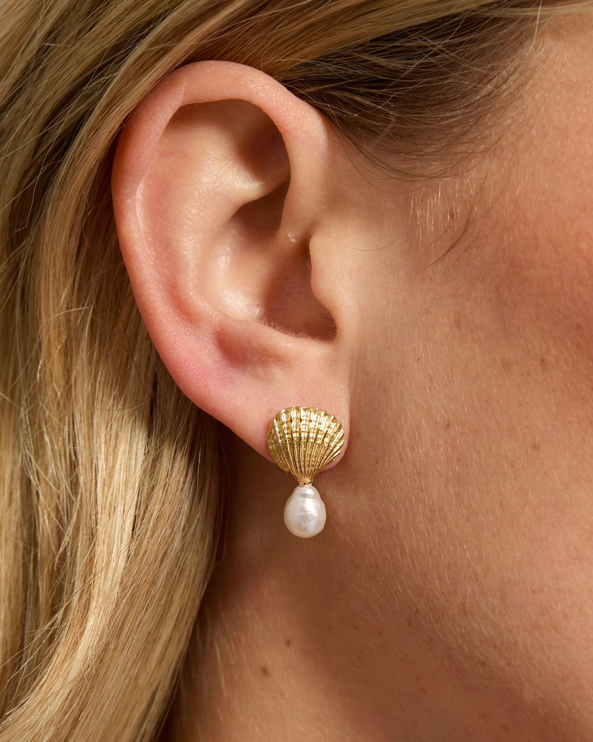 Shell Earrings