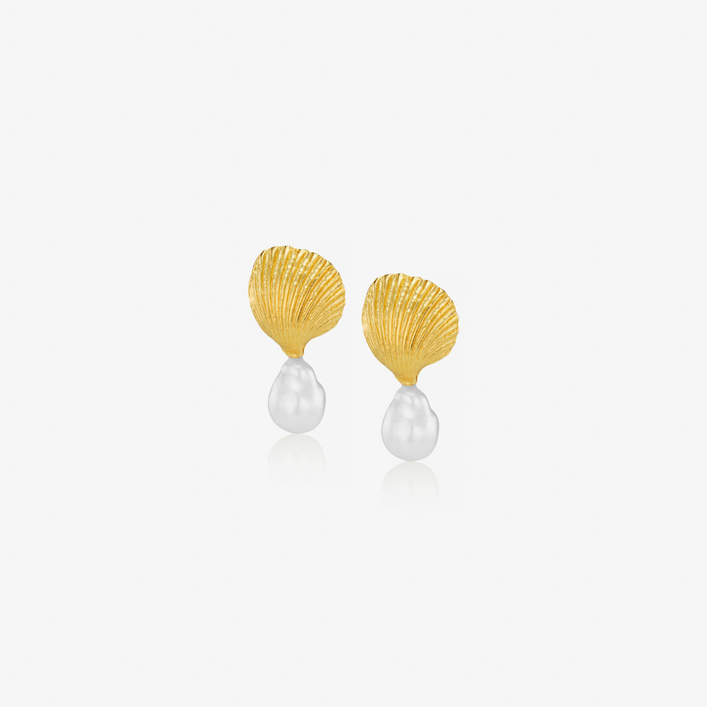 Shell Earrings